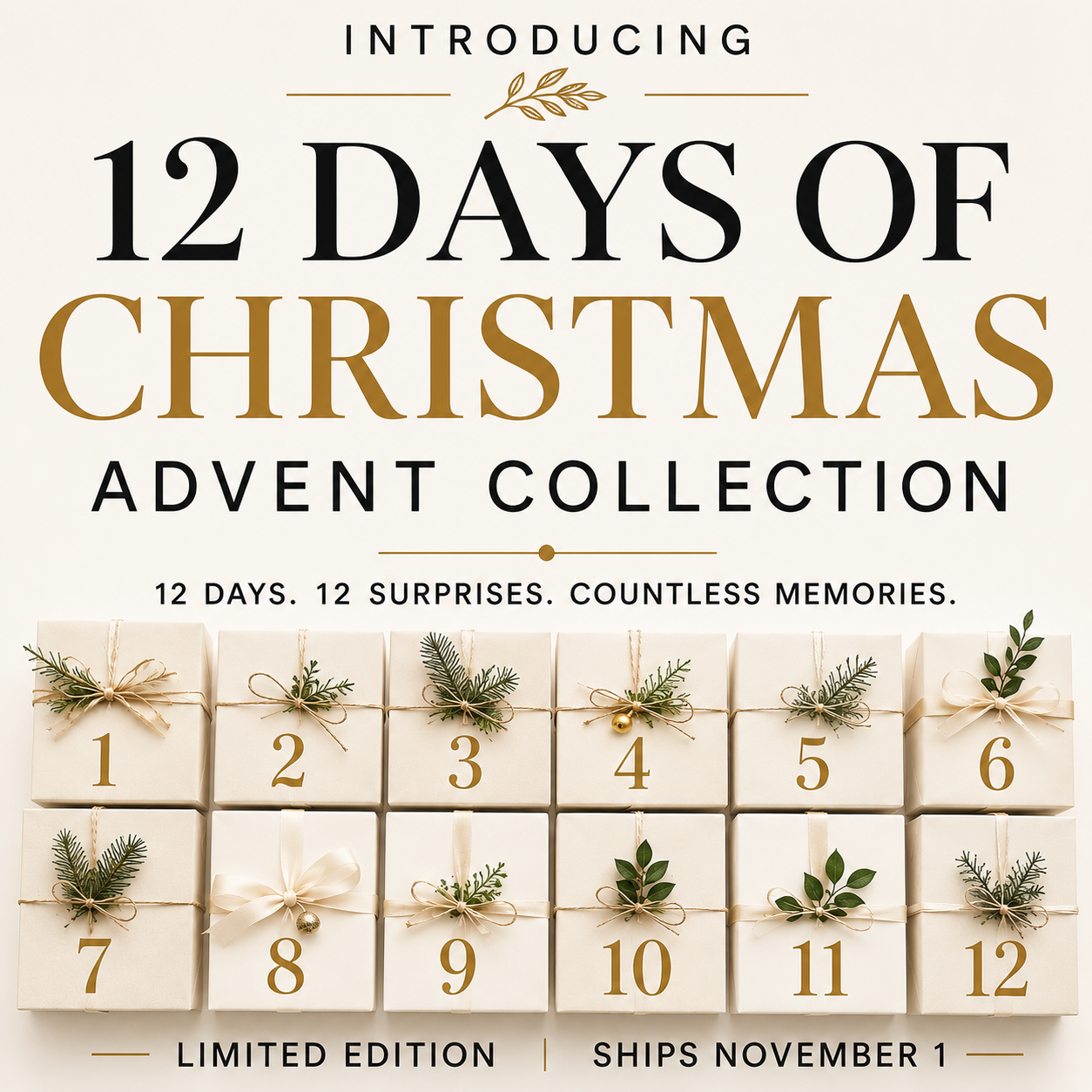 12 Days of Christmas