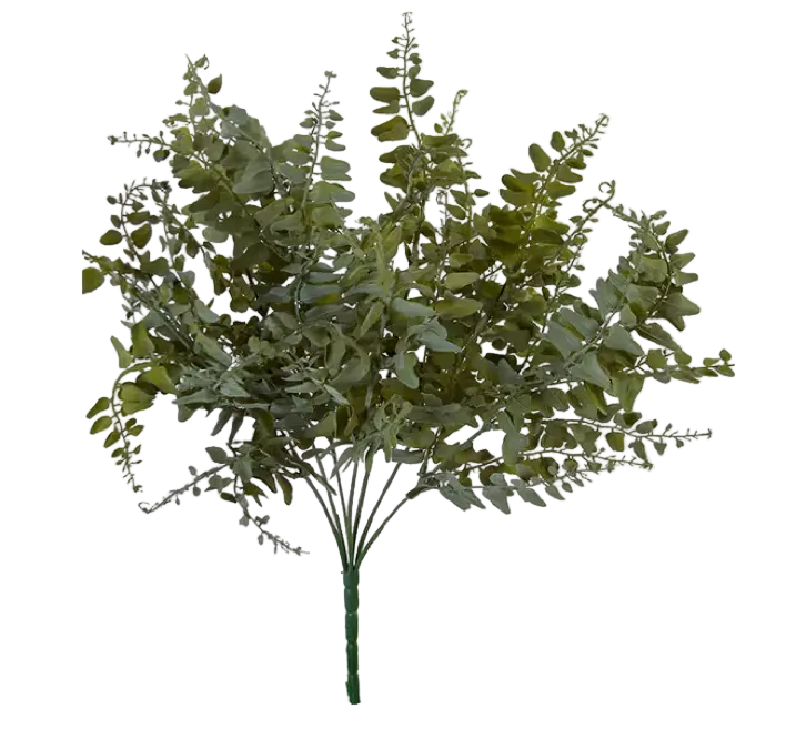Mahogany Fern Bush - 18"